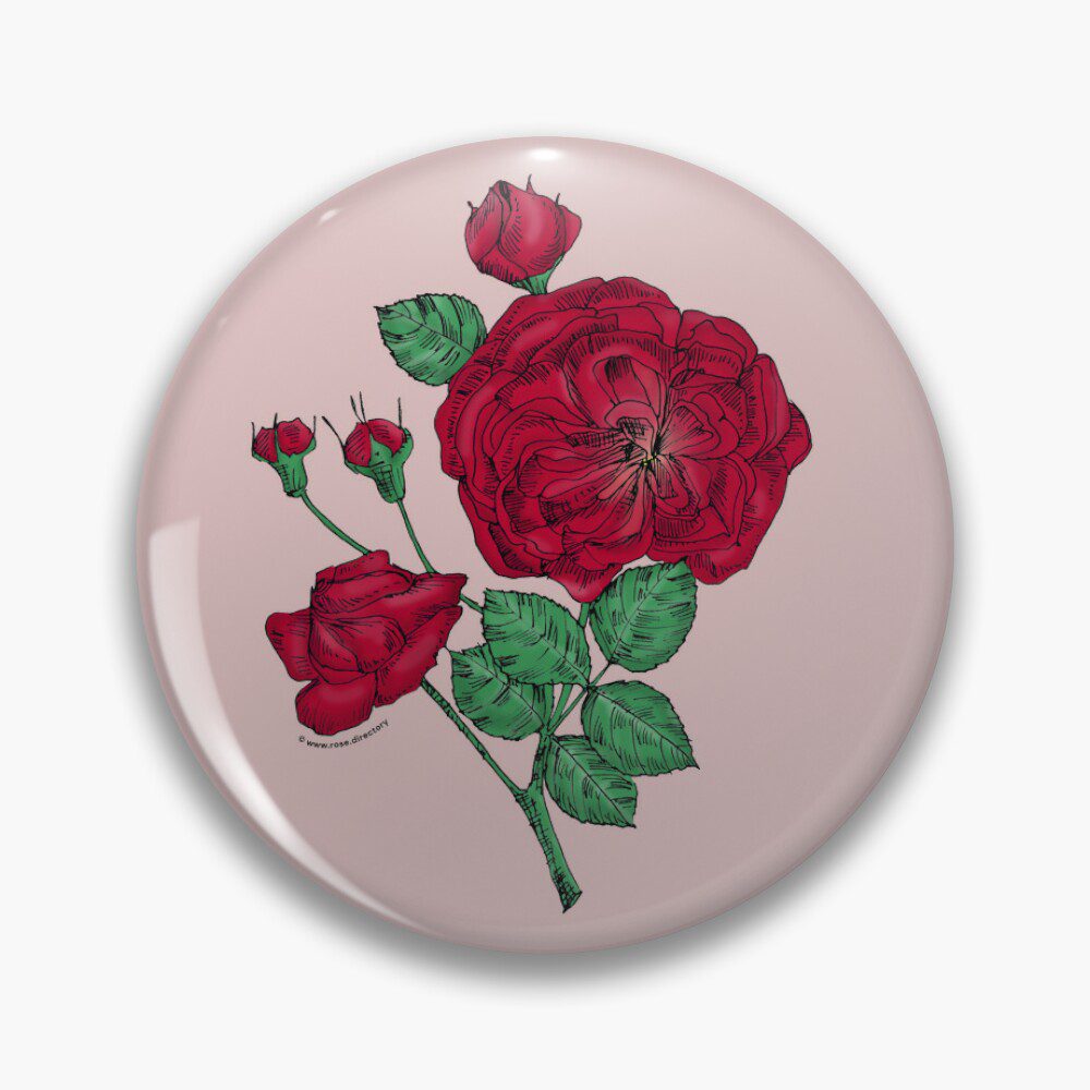 rosette semi-double dark red rose print on pin