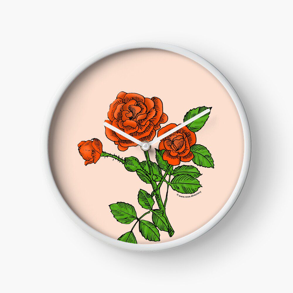 rosette double orange rose print on clock