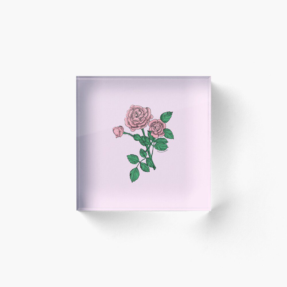 rosette double light pink rose print on acrylic block
