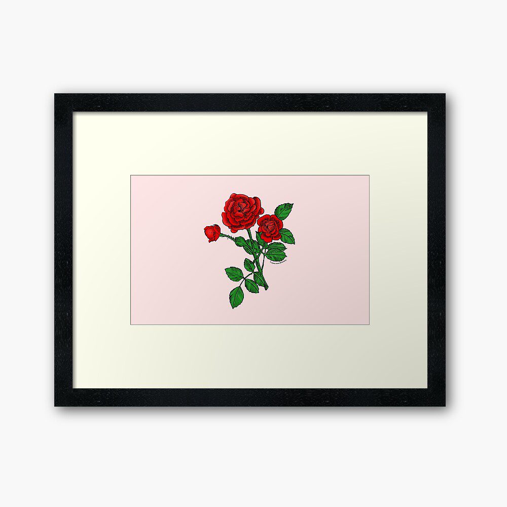 rosette double bright red rose print on framed art print