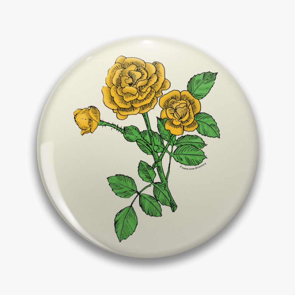 rosette double yellow rose print on pin