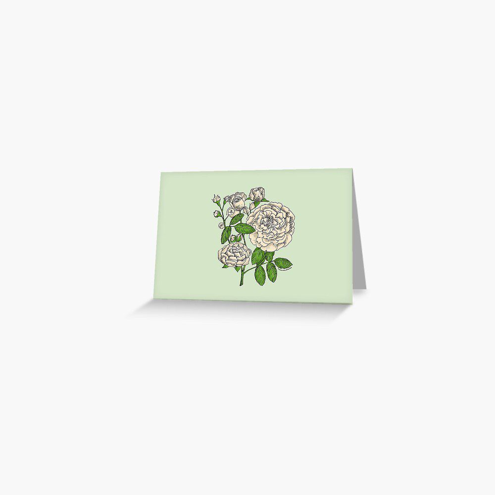 rosette full cream rose print on greeting card