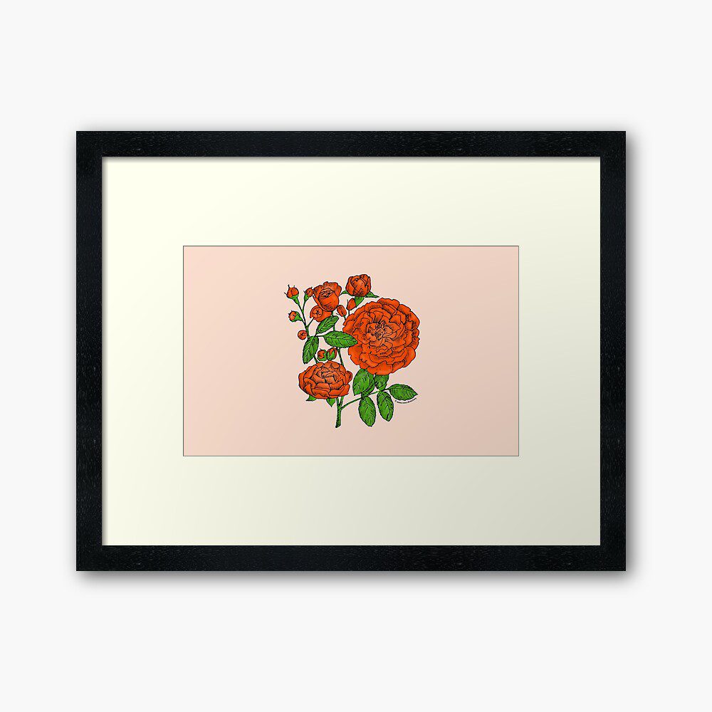 rosette full orange rose print on framed art print