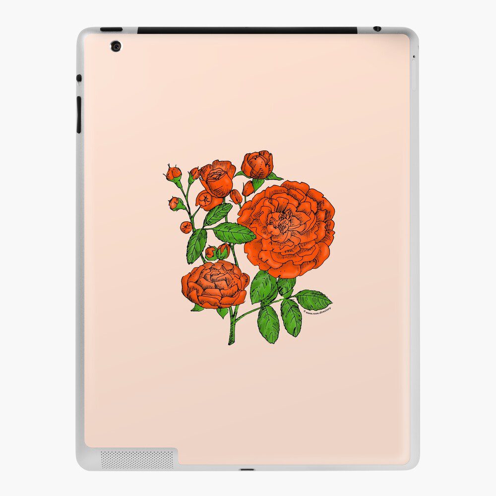rosette full orange rose print on iPad skin