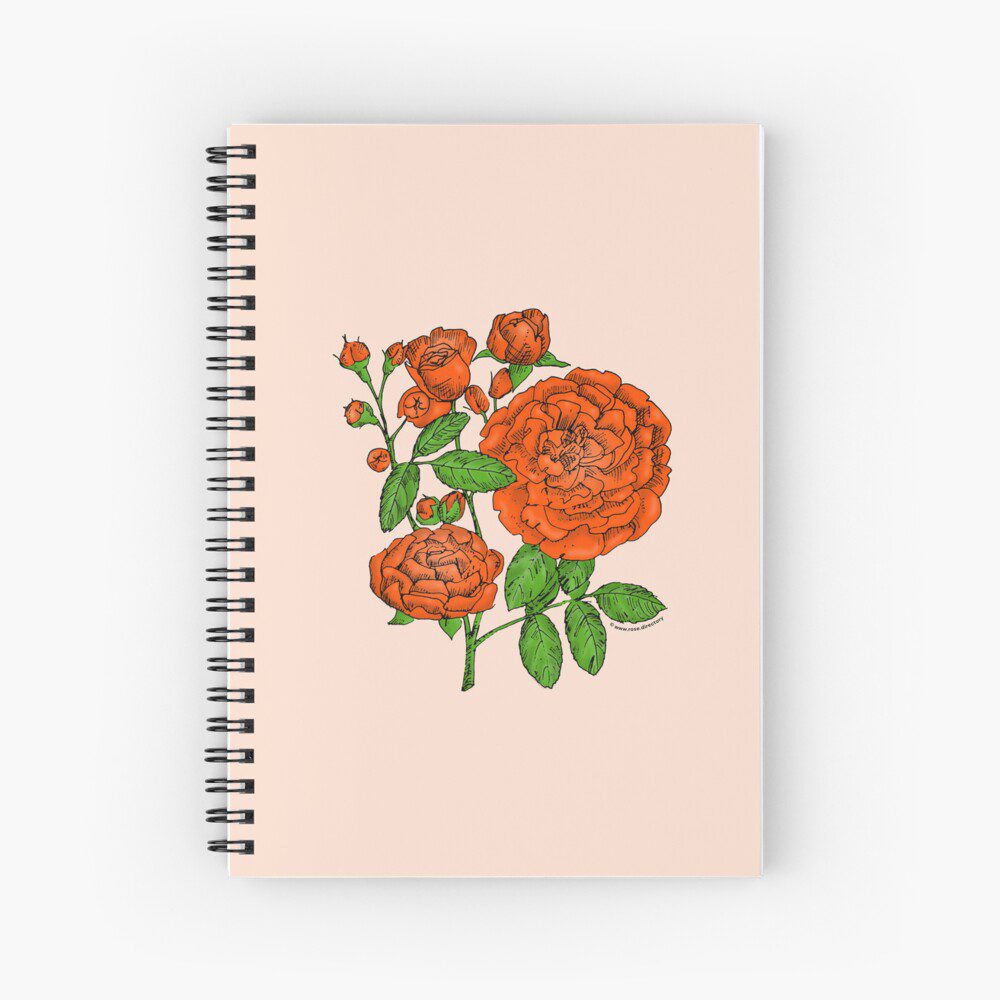 rosette full orange rose print on spiral notebook