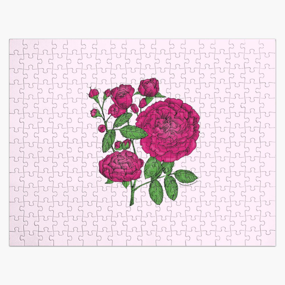 rosette full deep pink rose print on jigsaw puzzle