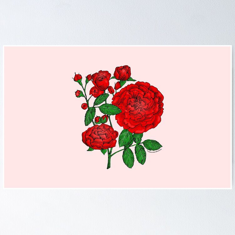 rosette full bright red rose print on poster