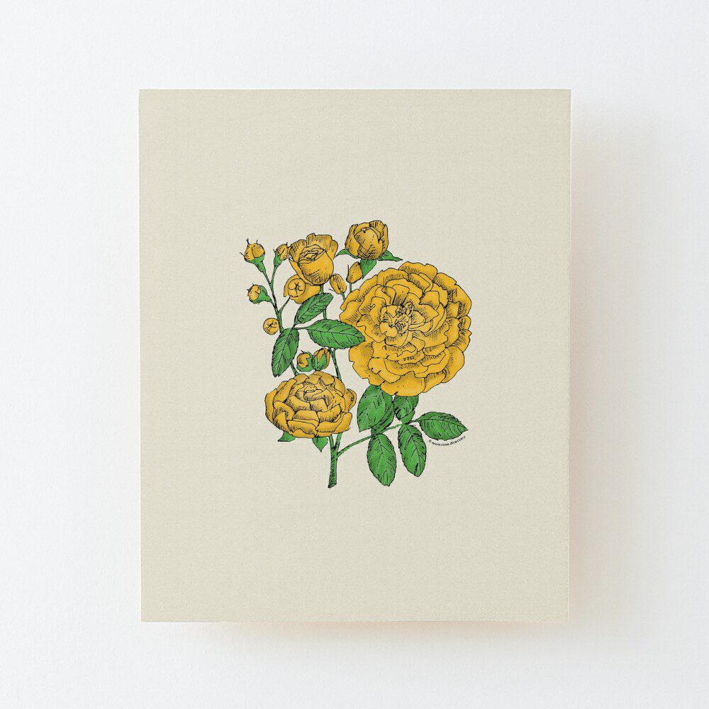 rosette full yellow rose print on wood mounted print