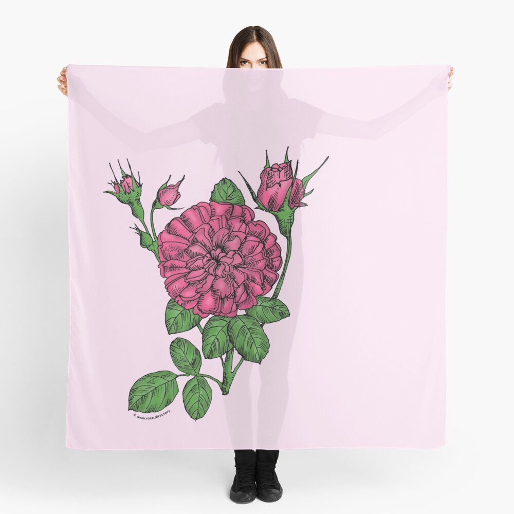 rosette very full mid pink rose print on scarf